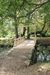 Pont en bois en Vienne (86)